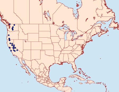 Distribution Data for Euxoa extranea