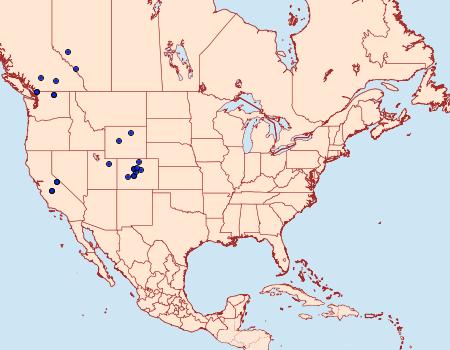 Distribution Data for Euxoa vallus