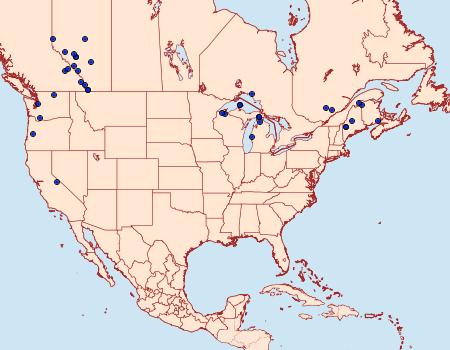 Distribution Data for Euxoa quebecensis