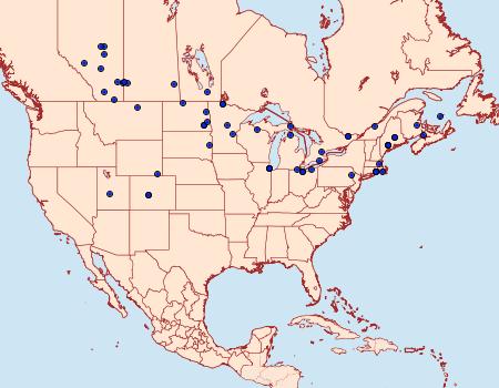 Distribution Data for Euxoa scandens