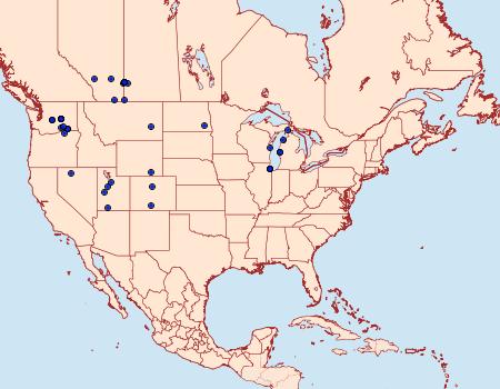 Distribution Data for Euxoa aurulenta