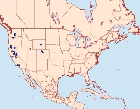 Distribution Data for Euxoa trifasciata