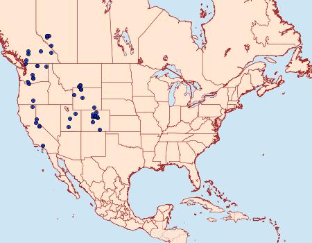 Distribution Data for Euxoa lewisi