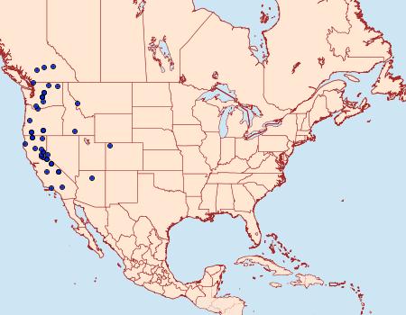 Distribution Data for Euxoa altens