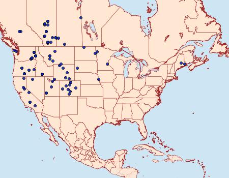 Distribution Data for Euxoa tristicula