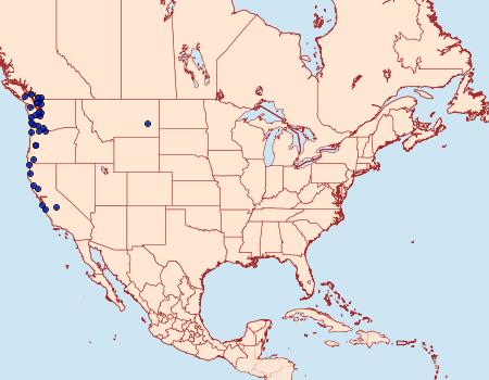 Distribution Data for Euxoa vetusta