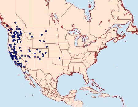 Distribution Data for Euxoa atomaris