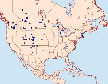 Distribution Data for Euxoa pleuritica