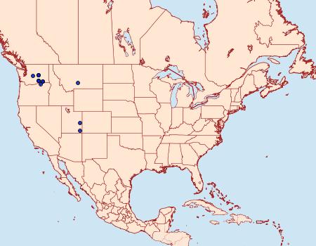 Distribution Data for Euxoa hardwicki