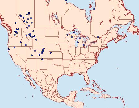 Distribution Data for Euxoa adumbrata