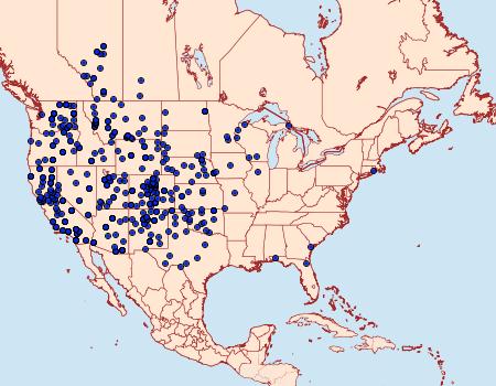 Distribution Data for Euxoa auxiliaris