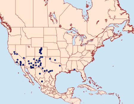 Distribution Data for Euxoa inconcinna