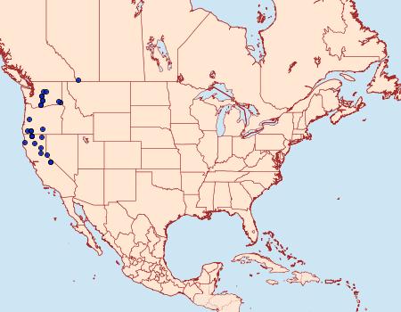 Distribution Data for Euxoa shasta