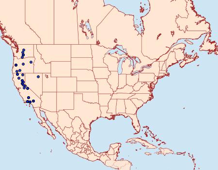 Distribution Data for Euxoa biformata