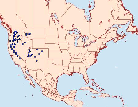 Distribution Data for Euxoa intermontana