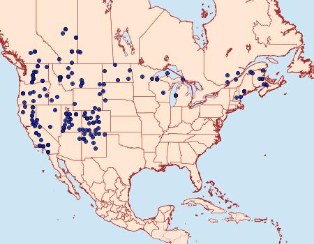 Distribution Data for Euxoa mimallonis