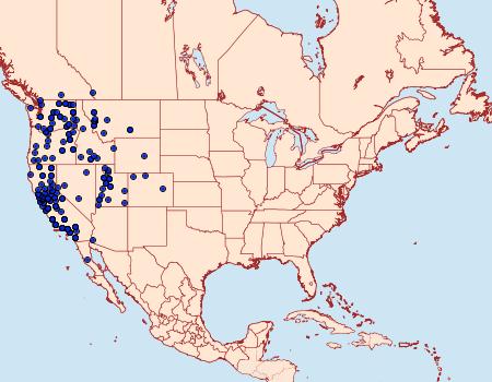 Distribution Data for Euxoa septentrionalis