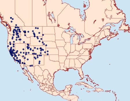 Distribution Data for Euxoa olivia