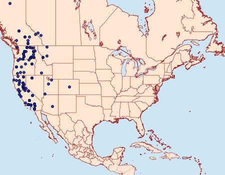 Distribution Data for Euxoa terrenus