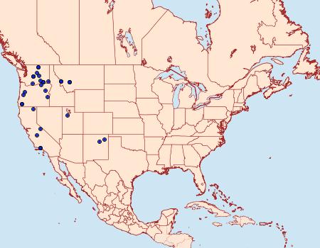 Distribution Data for Euxoa scotogrammoides