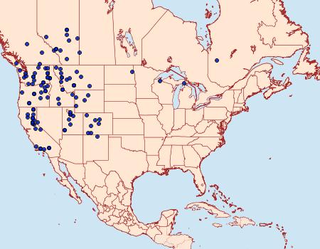 Distribution Data for Euxoa intrita