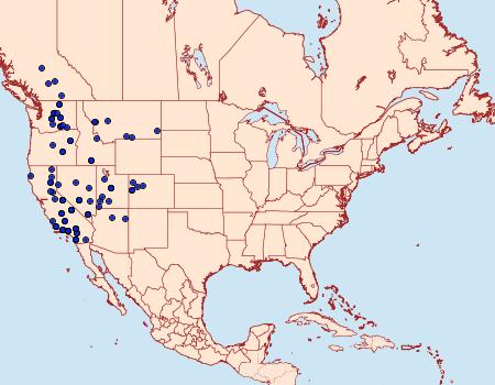 Distribution Data for Euxoa silens