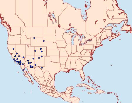 Distribution Data for Euxoa pimensis