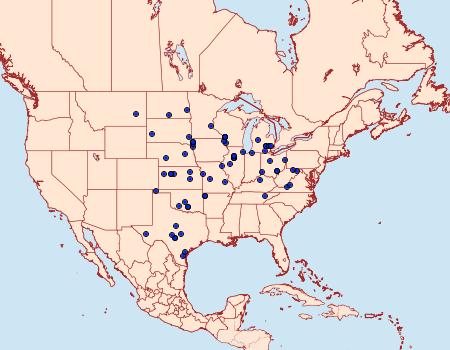 Distribution Data for Euxoa immixta