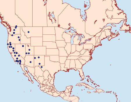 Distribution Data for Euxoa simulata