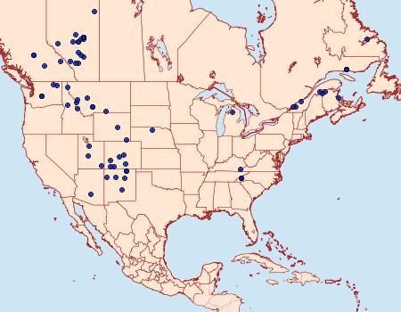 Distribution Data for Euxoa campestris