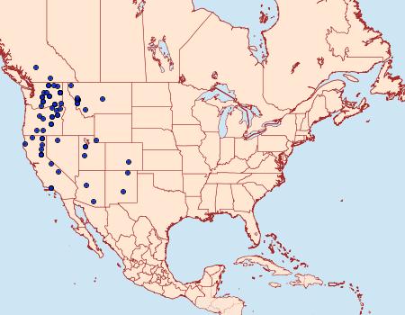 Distribution Data for Euxoa rockburnei