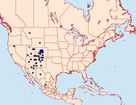 Distribution Data for Euxoa flavidens