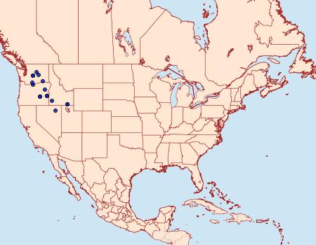 Distribution Data for Euxoa cana