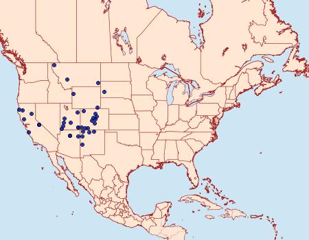 Distribution Data for Euxoa stigmatalis