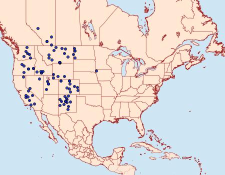 Distribution Data for Euxoa pallipennis