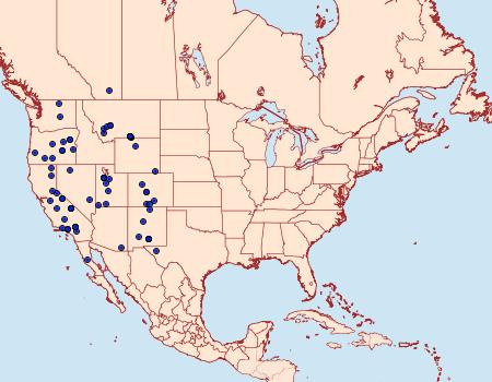 Distribution Data for Euxoa misturata