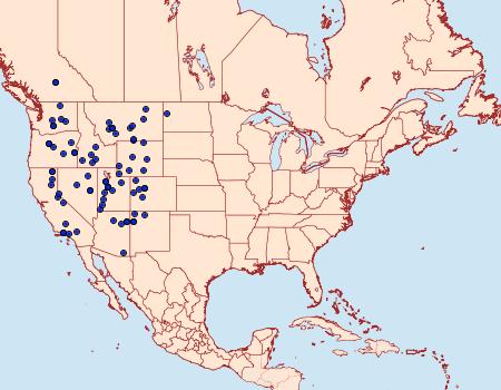 Distribution Data for Euxoa atristrigata