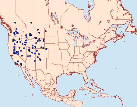 Distribution Data for Euxoa nevada