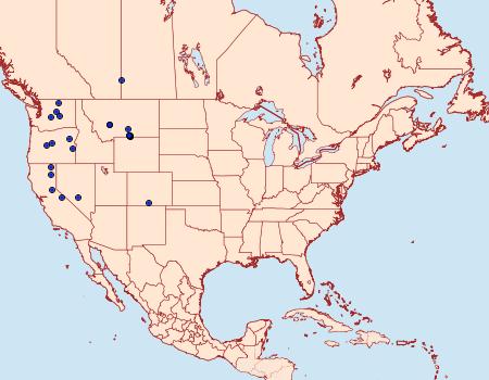 Distribution Data for Euxoa cinereopallidus