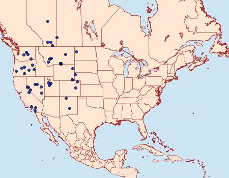 Distribution Data for Euxoa mitis