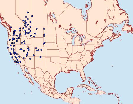 Distribution Data for Euxoa aequalis