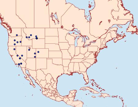 Distribution Data for Euxoa cona