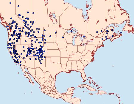 Distribution Data for Euxoa comosa