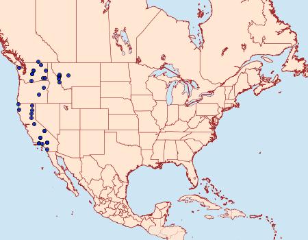 Distribution Data for Euxoa occidentalis