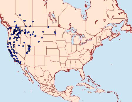 Distribution Data for Euxoa infausta