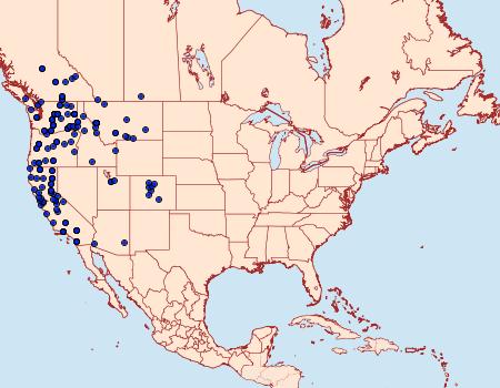 Distribution Data for Euxoa satis