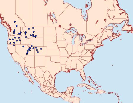 Distribution Data for Euxoa excogita