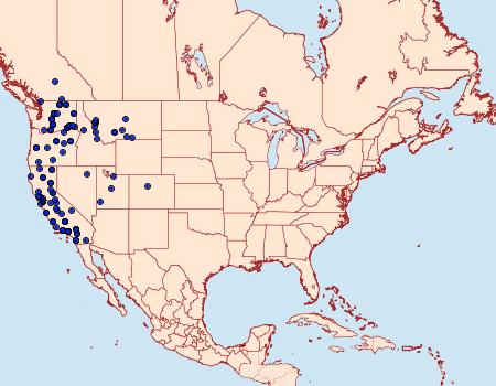 Distribution Data for Euxoa brunneigera