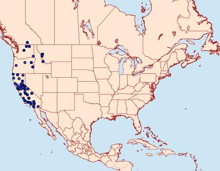 Distribution Data for Euxoa bicollaris