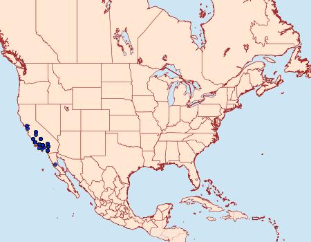 Distribution Data for Euxoa selenis